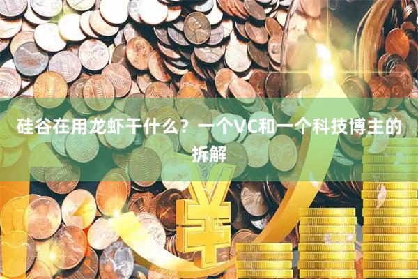 硅谷在用龙虾干什么？一个VC和一个科技博主的拆解