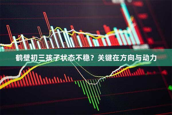 鹤壁初三孩子状态不稳？关键在方向与动力