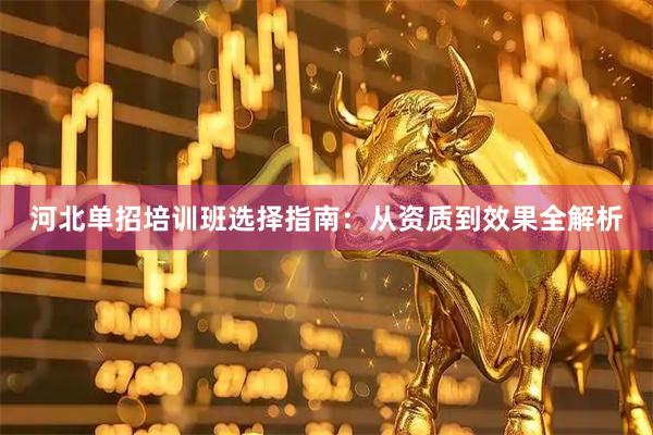 河北单招培训班选择指南：从资质到效果全解析
