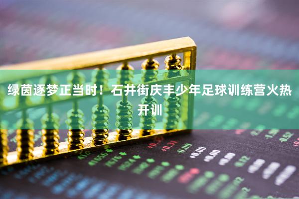 绿茵逐梦正当时！石井街庆丰少年足球训练营火热开训